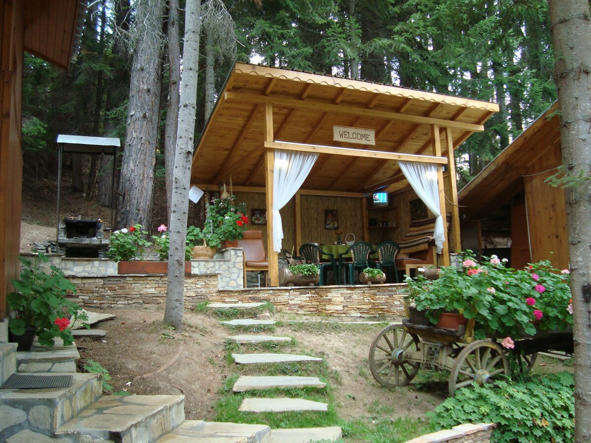Chalet in Popovi Livadi (Pirin Mountain) — снимка 2