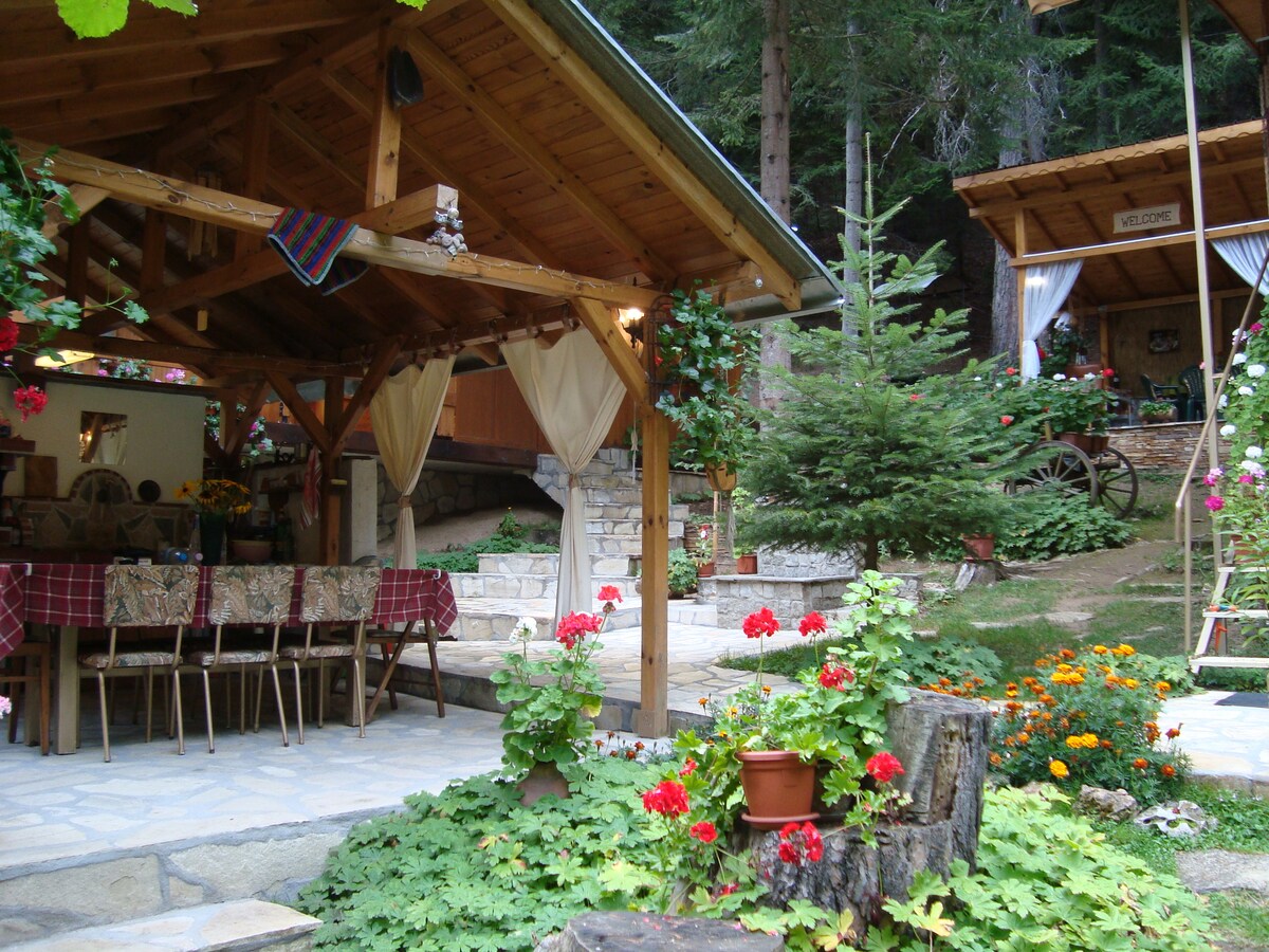 Chalet in Popovi Livadi (Pirin Mountain) — снимка 3